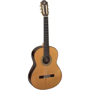 Gitaar Test