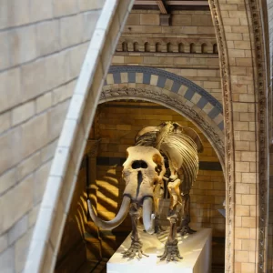 Natuurhistorie & Wetenschap